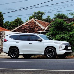 Cumi Darat