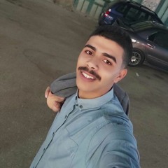 Ahmed Shawky
