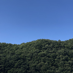 yongho