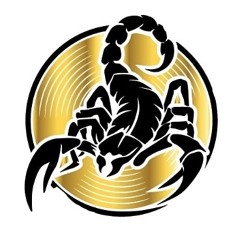 Scorpion 242