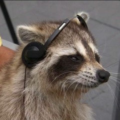 rakunxd