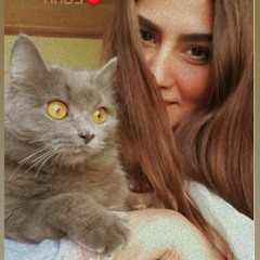 Nady