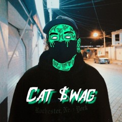 😼Cat $wag😼