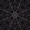 Echo Bone [XGDM]