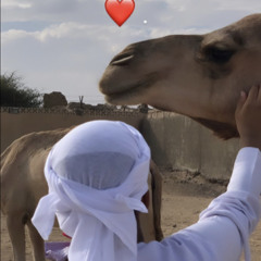 نواف النعيمي