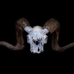 ＬｕｎａａＬｏｖｅｇｏｏｄ