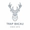 Trap Bacau