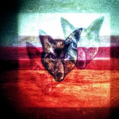 coyyote
