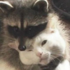 kitty.lover.kitty.eater