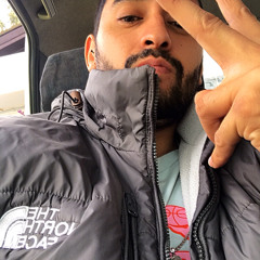 gottifly