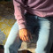 JISHH