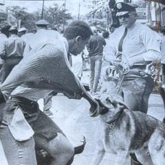 @voiceofthefuturegen