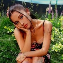 Dolores Nguyên