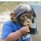 Leandro 35