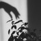 Ecoteric