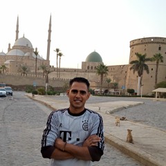 الباز