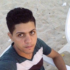 ALY.zahw66@gmail.com
