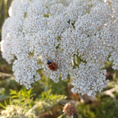 crying in my room probably