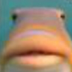 itstillwontletmeputanything