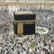 علاء محمد
