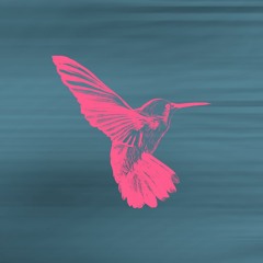 Hummingbird (by) Benjamin Philippe Zulauf