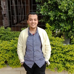 ميدو العشرى