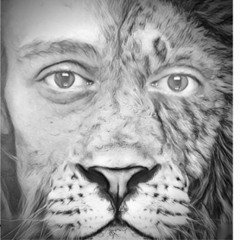 Lion ART