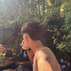Tiago Silva