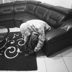 Venn Magalhães VM29