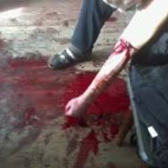 scream xx