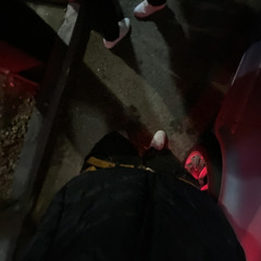 Icetrayy