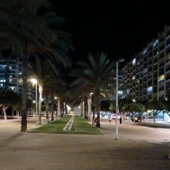 ALLEXXX