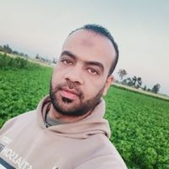 Ahmed Amasha