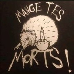 Kromozone Quarantesix