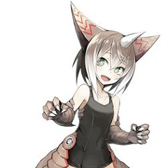 不可冬光