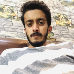 Hamza Anees