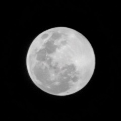 Costa Rica Enterprise Business Solutions