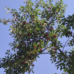 user940221024