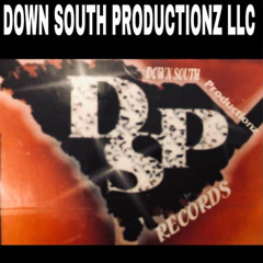 Down South Productionz LLC (DSP)