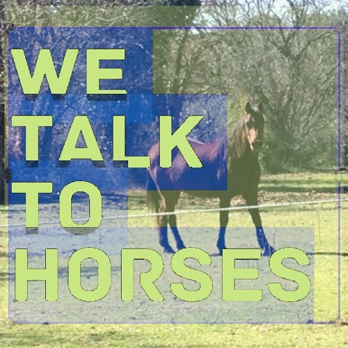 Stream We Talk to Horses music Listen to songs, albums, playlists for