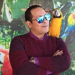 Amro Atif Ahmed Khalil