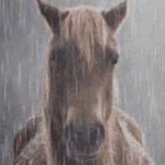 Alternative Outro - Lucki (looped instrumental)