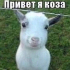 lizka