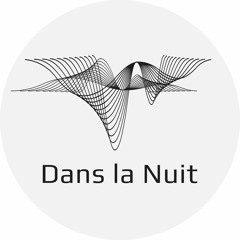 Dans la Nuit