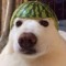 Muted MP3
