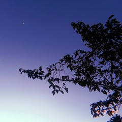 An Thúy