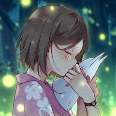 nikawa sr