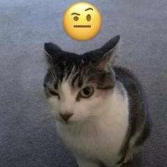 вентилятор