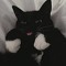 PetsforBuddies