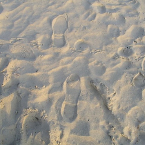 Stream Lutz Wolfgang music Listen to